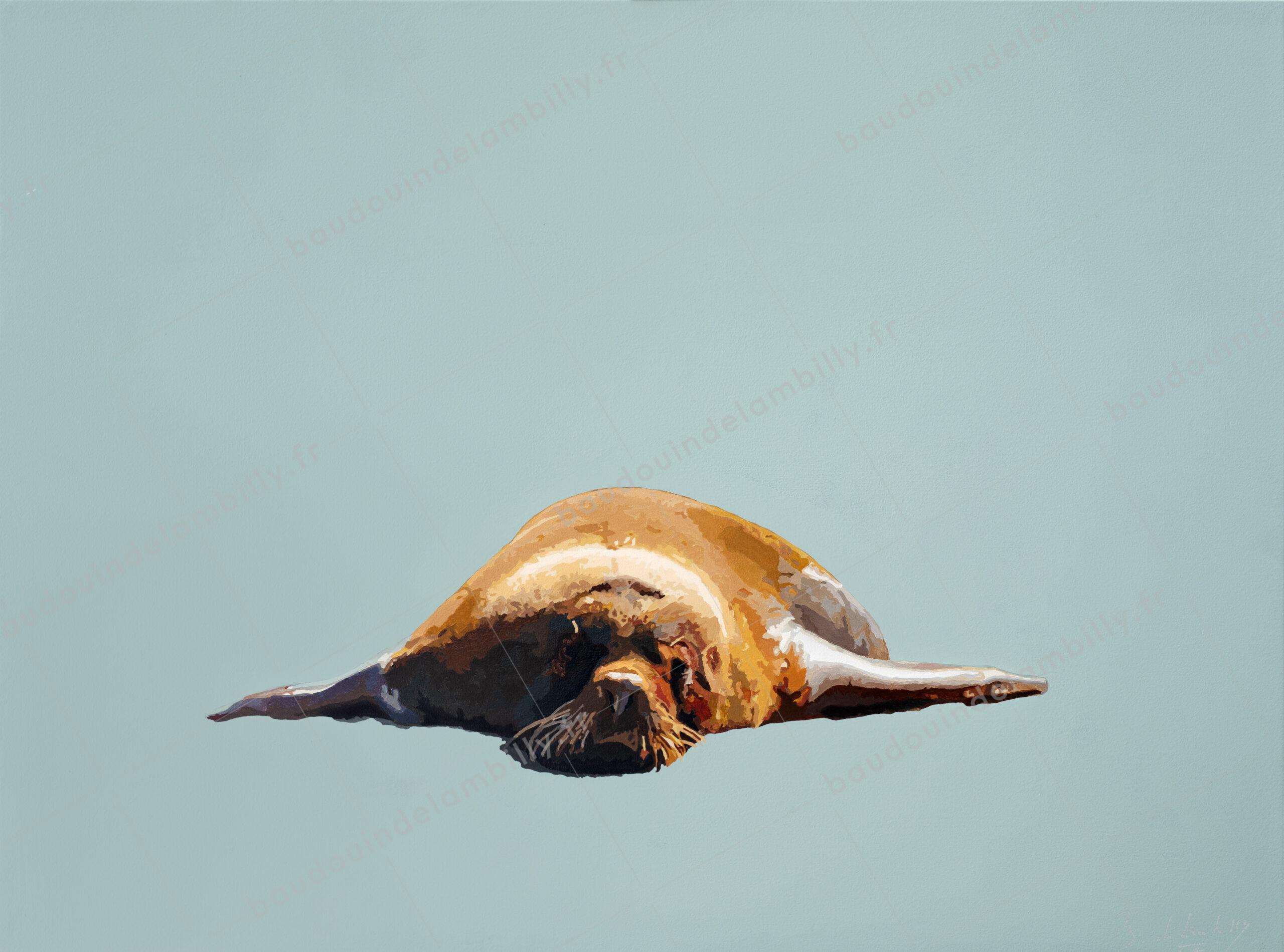 L’otarie à crinière ou loup marin, également appelé lion de mer du sud, lion de mer sud-américain ou simplement lion de mer, est une espèce de pinnipède de la famille des otaridés.